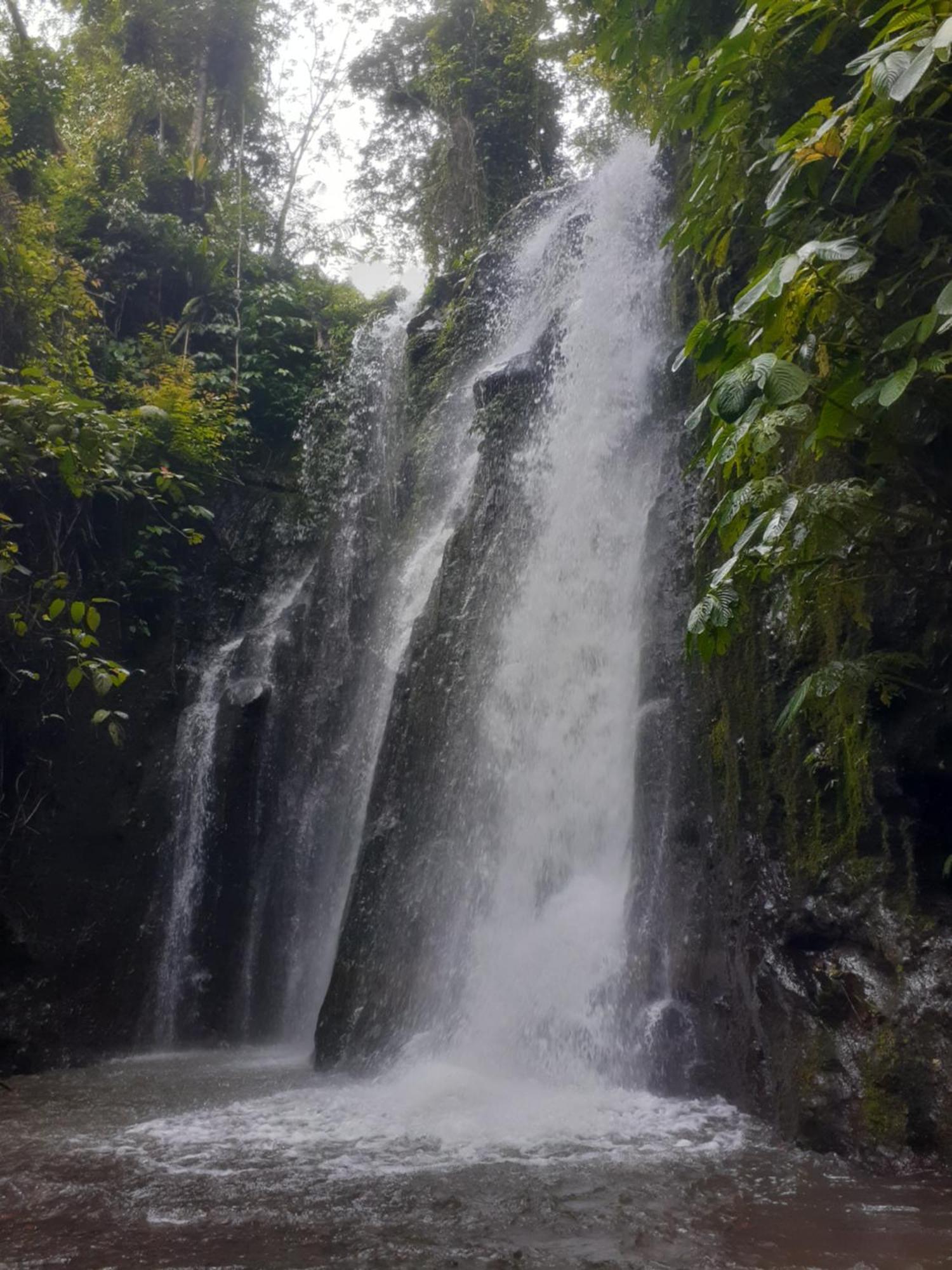 Avocado Homestay Tetebatu Buitenkant foto