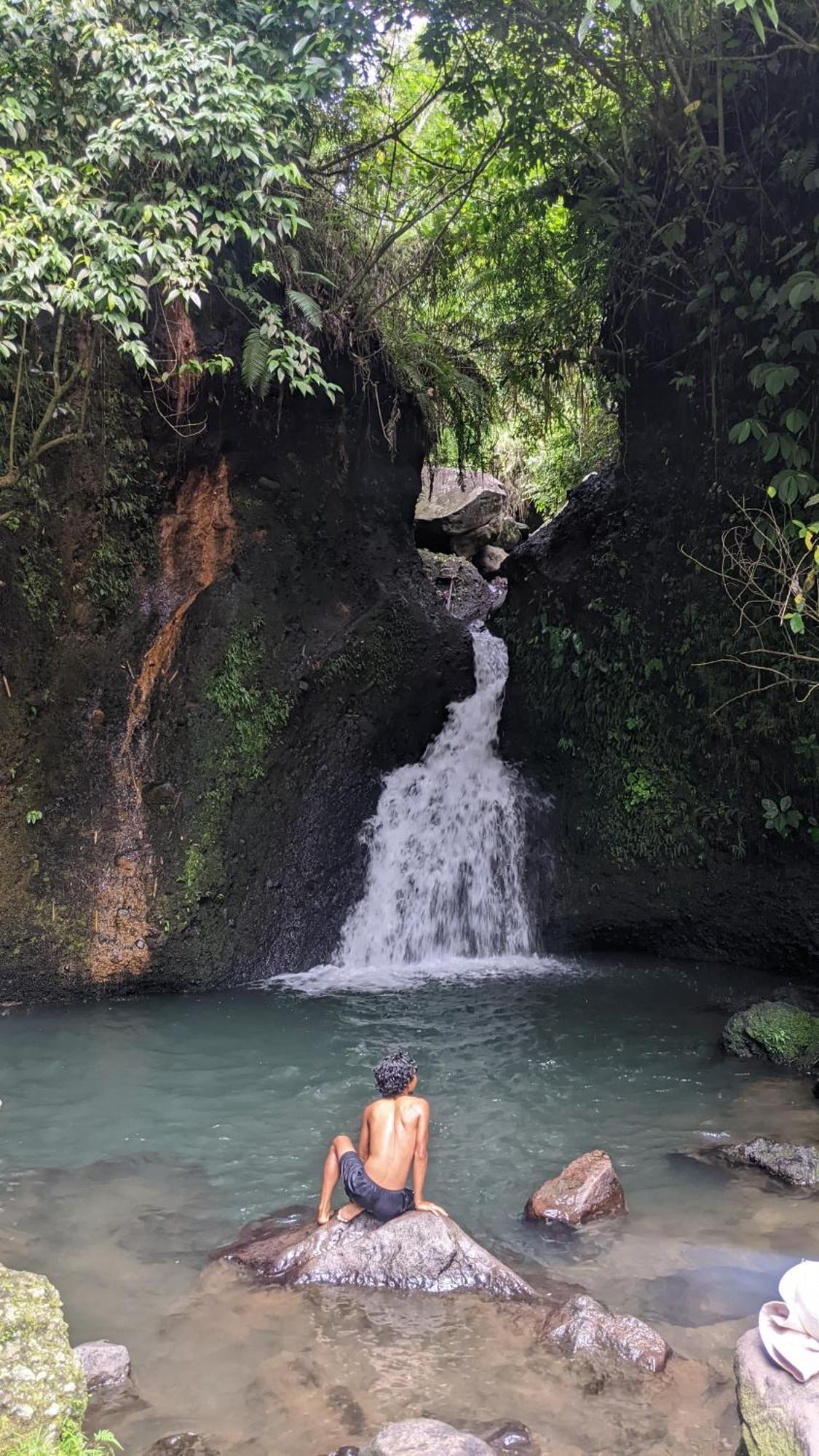 Avocado Homestay Tetebatu Buitenkant foto