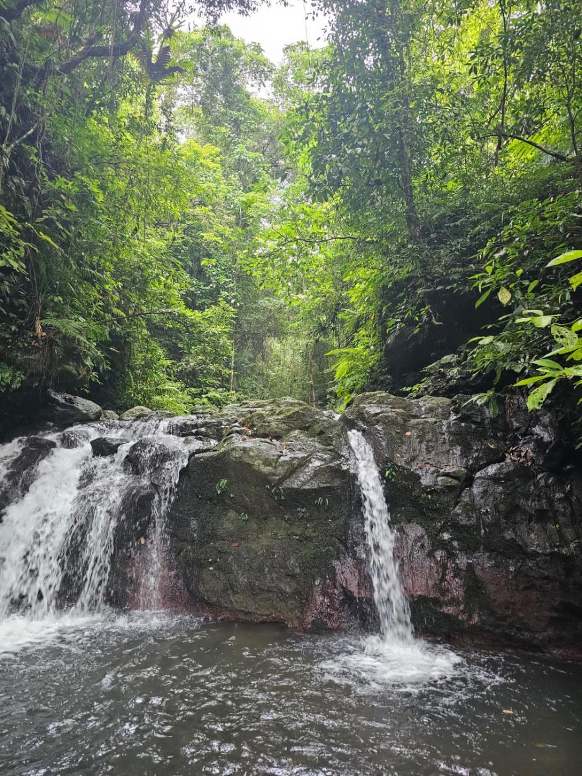 Avocado Homestay Tetebatu Buitenkant foto