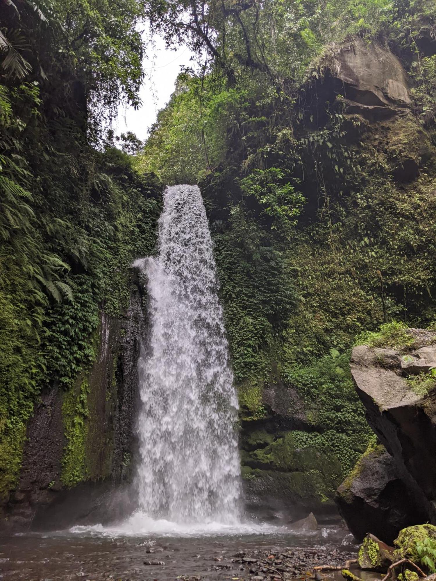 Avocado Homestay Tetebatu Buitenkant foto