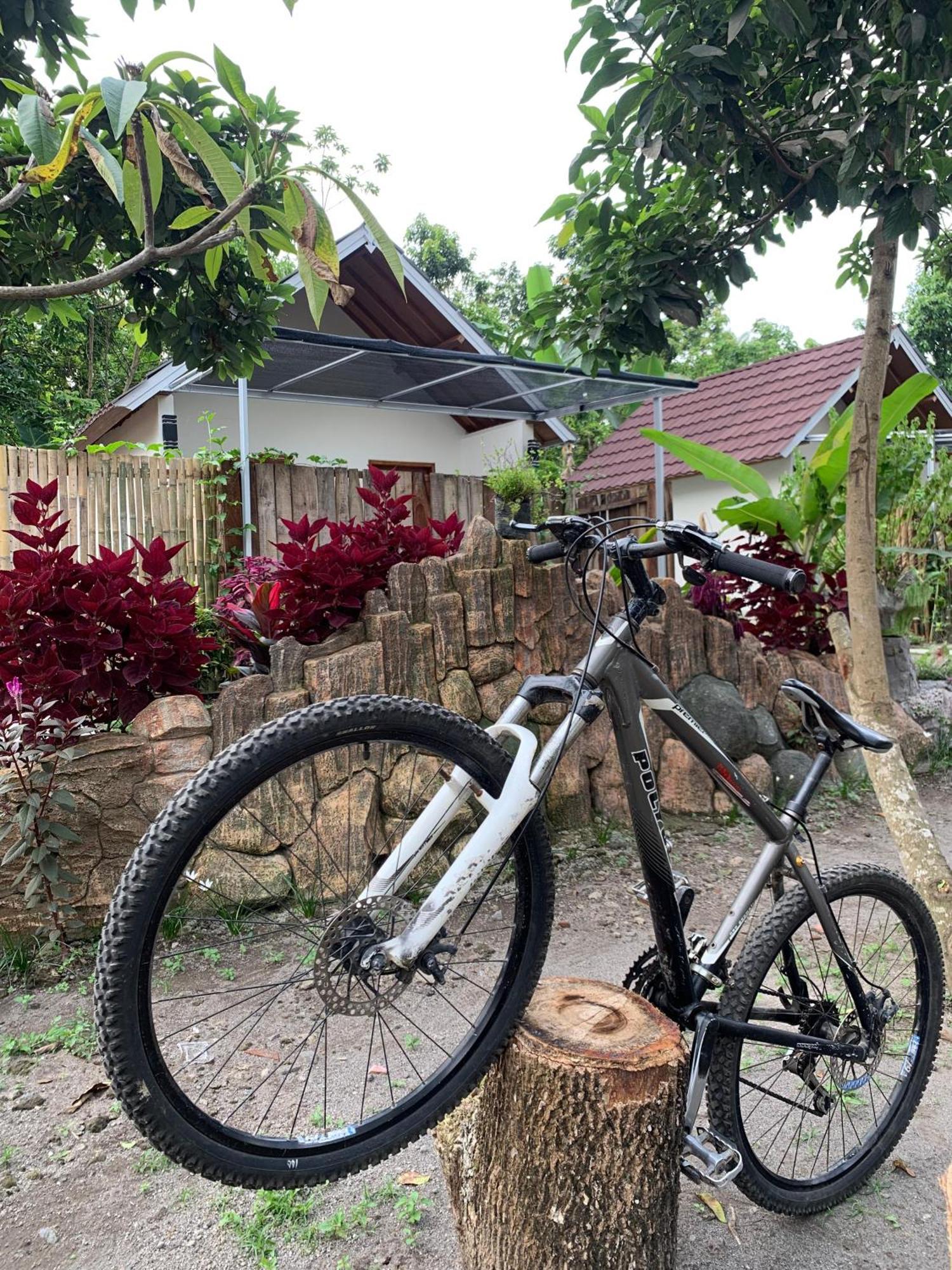 Avocado Homestay Tetebatu Buitenkant foto