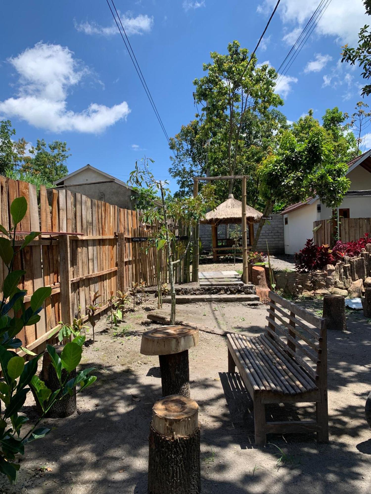 Avocado Homestay Tetebatu Buitenkant foto