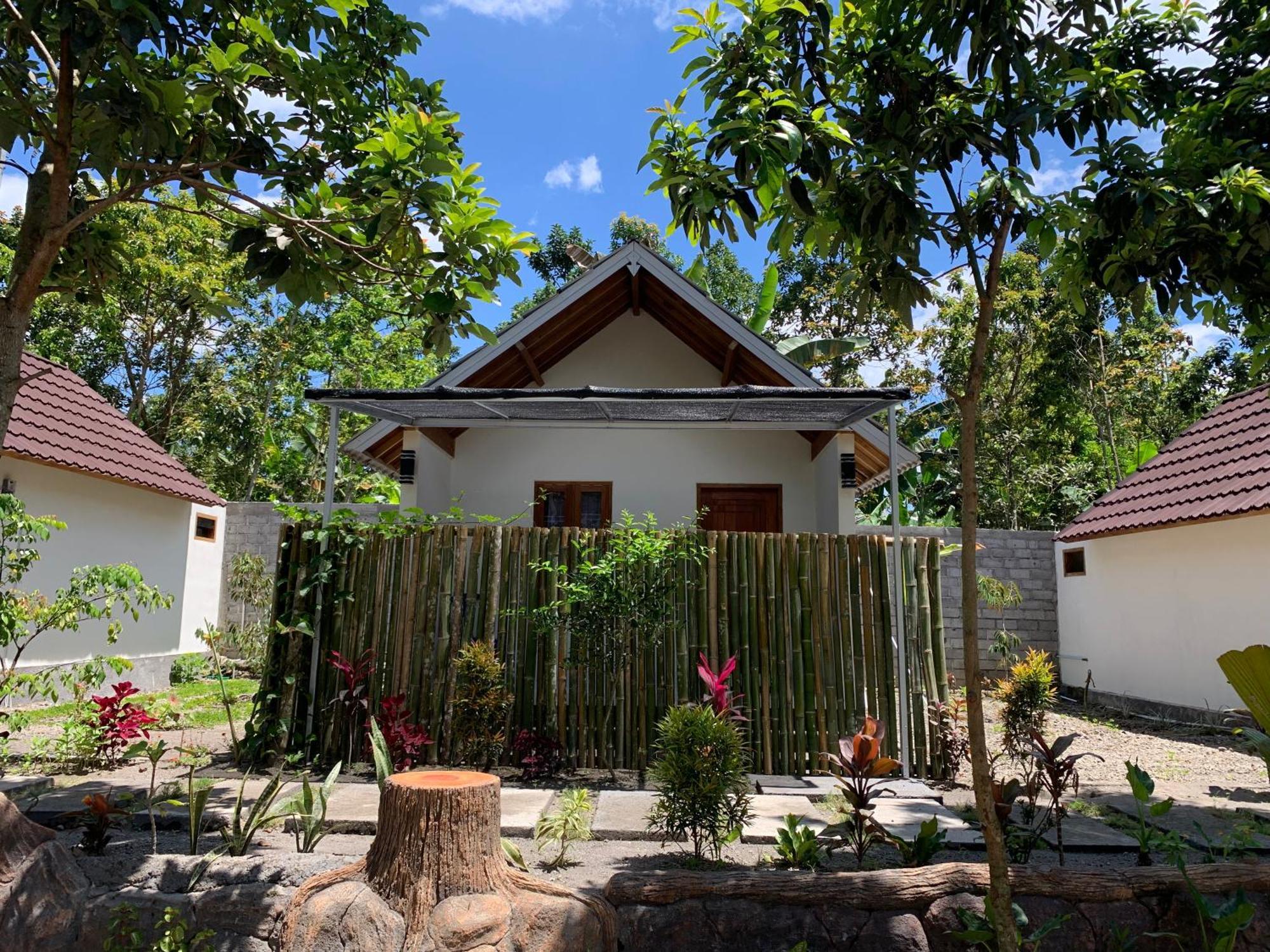 Avocado Homestay Tetebatu Buitenkant foto